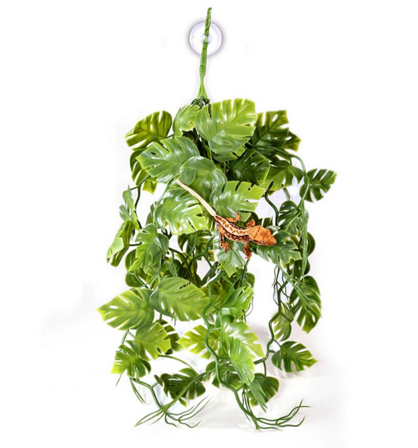 Pangea Plants - Green - Roberson Reptiles