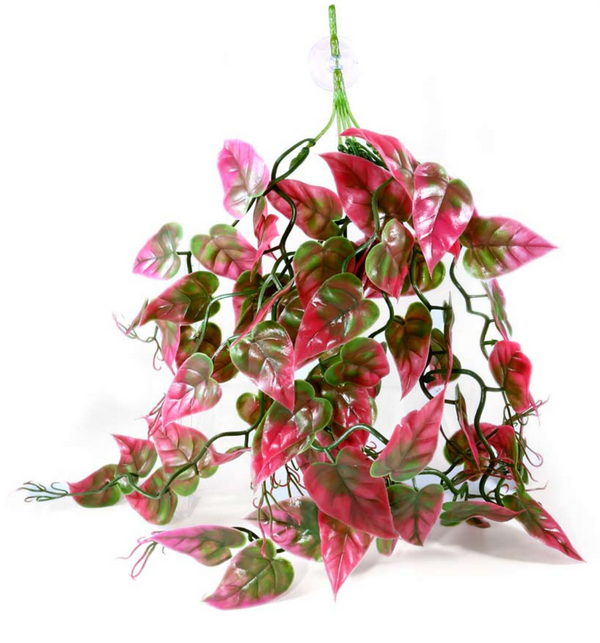 Pangea Plants - Red - Roberson Reptiles