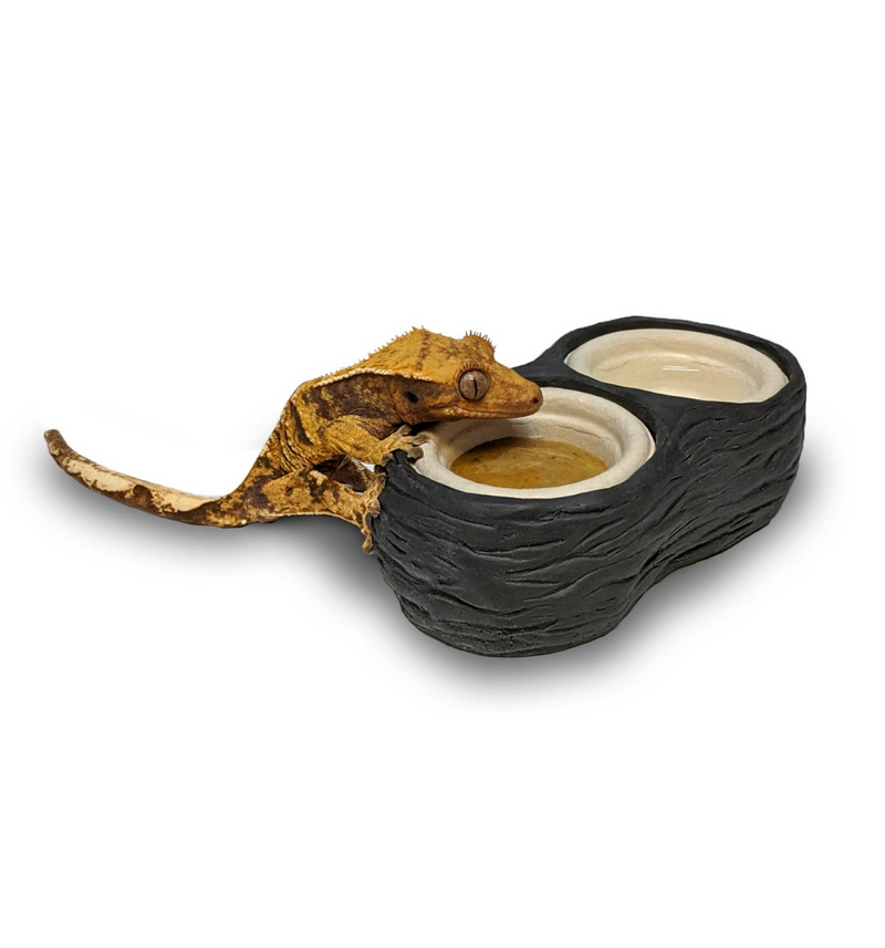 Pangea Stone Dual Gecko Cup Holder Dish - Roberson Reptiles