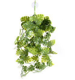 Pangea Plants - Green - Roberson Reptiles