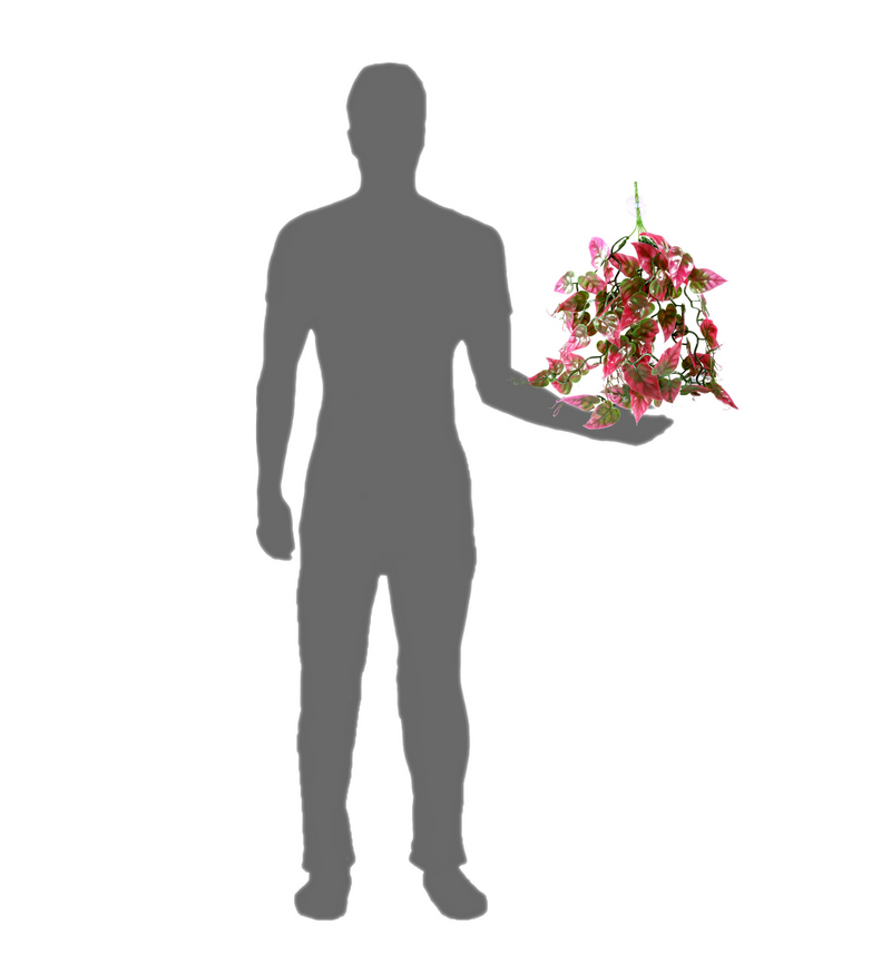 Pangea Plants - Red